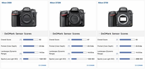 Nikon D500 Review : dphoto.jp : 写真を楽しむサイト