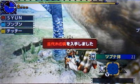 Mhxx 村クエ 2 リモセトス採取利用 古代木の実 モンハンライズ サンブレイク ライトボウガン担いで行きます 狩