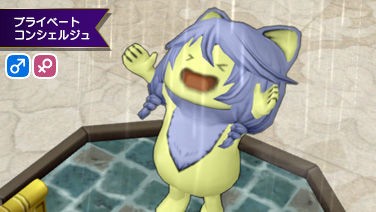 バージョン３からプライベートコンシェルジュさんで呼び名設定できるようになってますが ぷくりんのあしあと ドラクエ10攻略