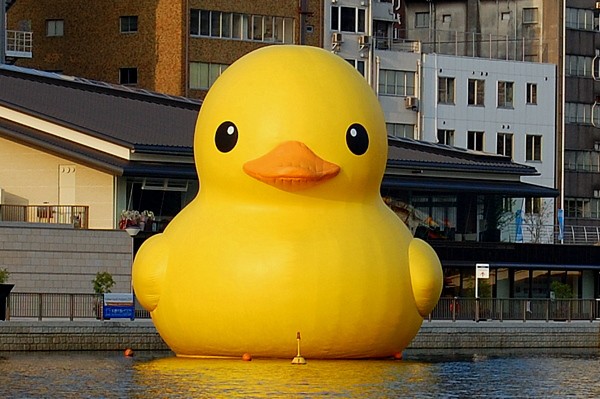 でっかいひよこっぽいアヒル In 大阪 八軒家浜 最初のギターはレジェンドでした