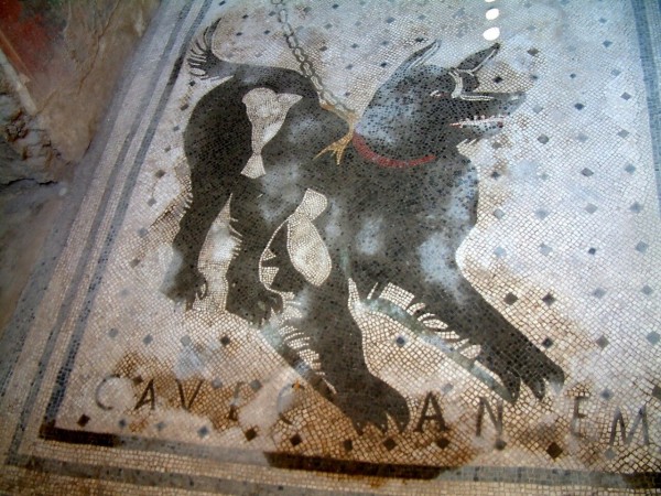 古代ポンペイの 猛犬注意 の画にジョジョネタの嵐 海外の反応 暇は無味無臭の劇薬
