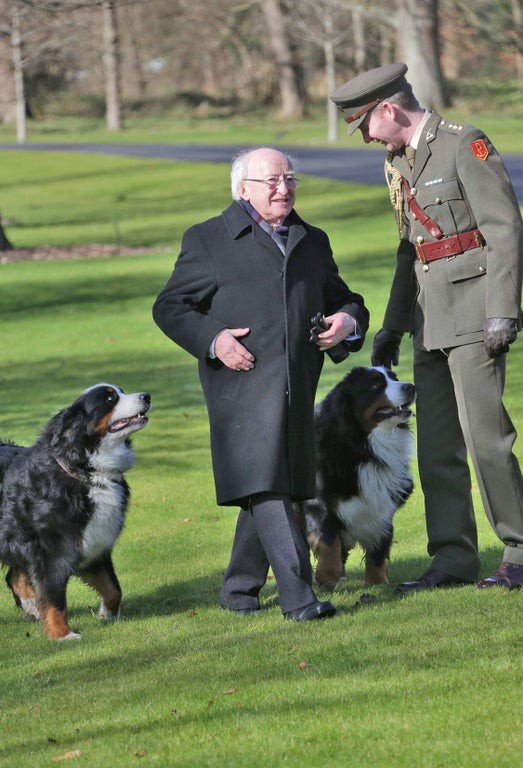 アイルランド大統領は会見の場にも飼い犬を連れてきてる 海外の反応 暇は無味無臭の劇薬