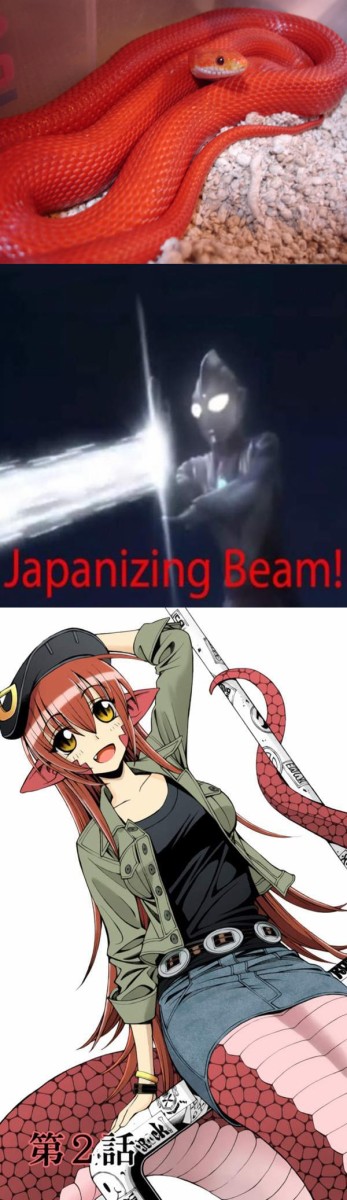 何でも日本的にする Japanizing Beam とその派生beamネタ 海外の反応 暇は無味無臭の劇薬