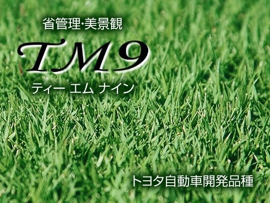 これからの芝庭はtm9 産地直送 自社施工 さいたま市西区芝張り業者 大きな庭お任せ下さい マルニシ造園