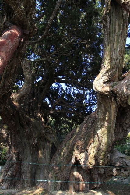 島四国霊場第５４番 宝生院 ほうしょういん 小豆島に集まれ たくさんの笑顔たち