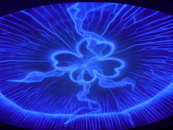 新江ノ島水族館 後編 神奈川県藤沢市 食で奏でる旅の記憶 新江ノ島水族館 後編 神奈川県藤沢市 食で奏でる旅の記憶