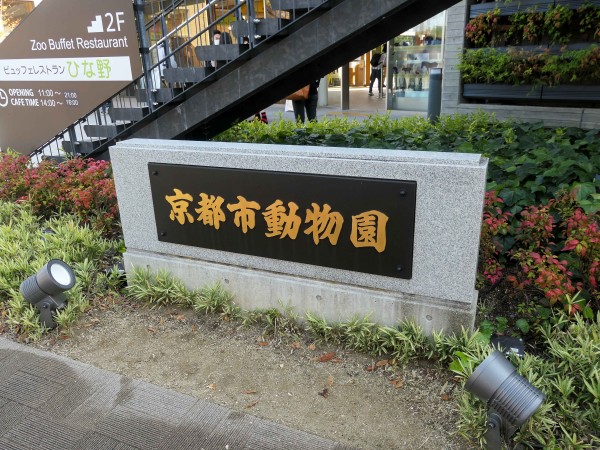 京都市動物園 京都市左京区 食で奏でる旅の記憶