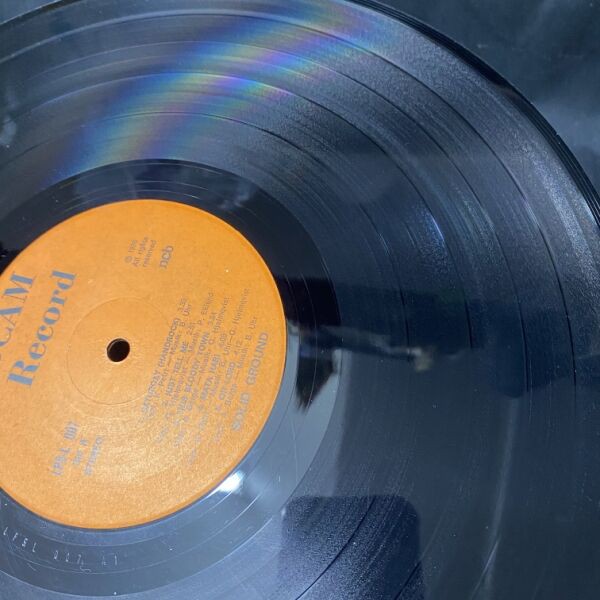 The La’s、Nuggets新品レコード The La's、Nuggets新品レコード