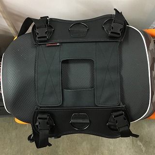 府中2りんかん 出会ってしまいました 2りんかんブログ
