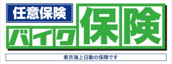 リード工業✖️2輪館　200個限定モデル　カワサキ　マーク2カラー 正規店限定仕様 Mk-ⅡカラーDAEG おかわり！ | MotoPiazza