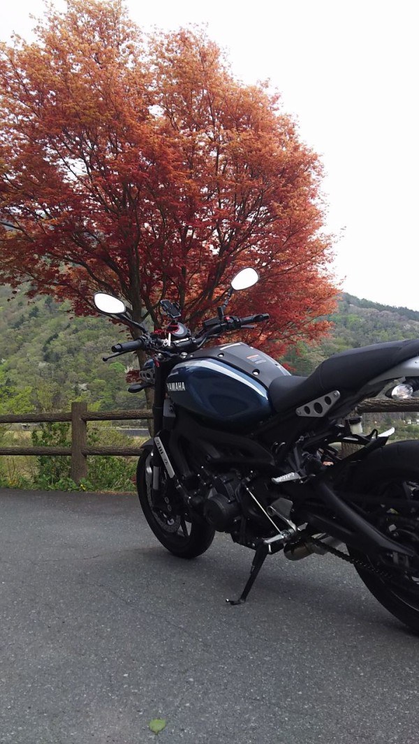 レンタルバイク】XSR900 SP忠男フルエキマフラー装着車！試乗