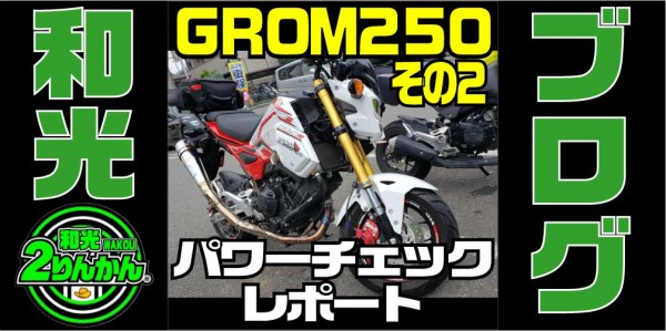 とんさん d5cfc92c-s.jpg