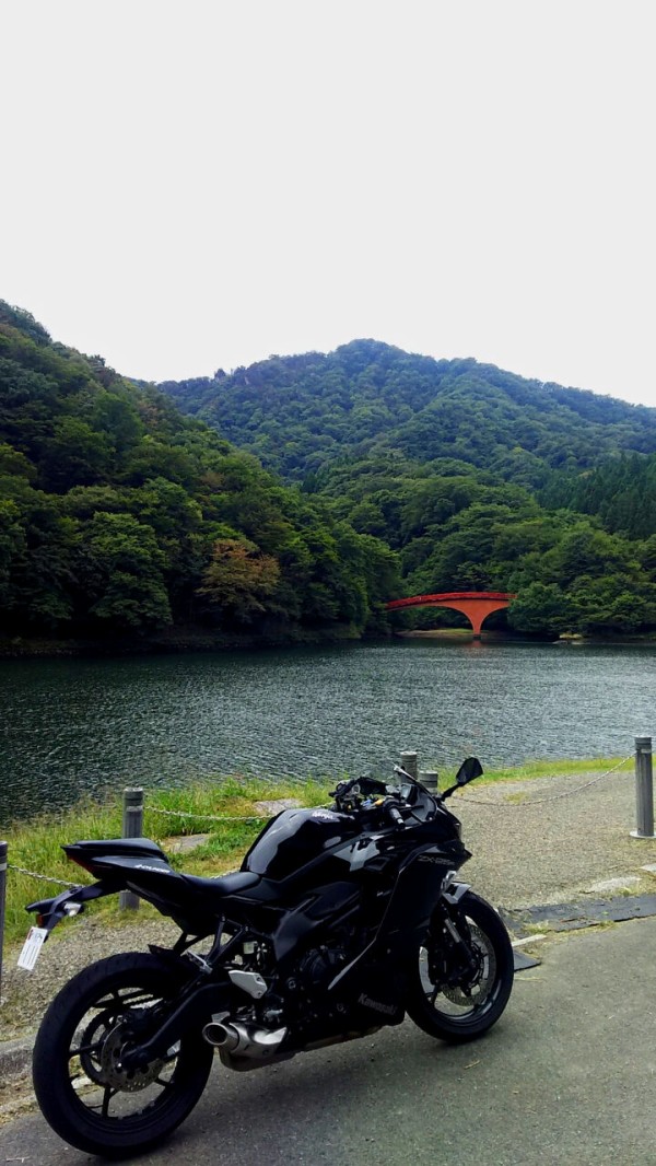 レンタルバイク】日本国内でまだ数台の！フルパワー ZX25R