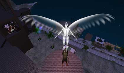 天使の足をつかむ悪魔 Heterocera Atoll