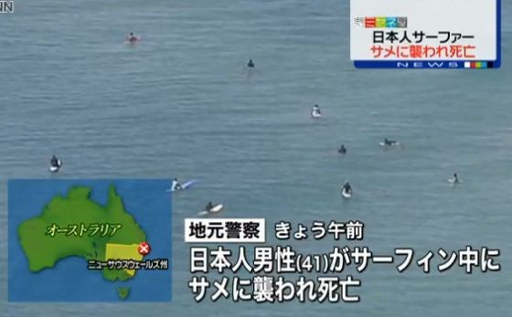 サーフィン中 日本人男性 サメに襲われ死亡 オーストラリア 情報交流をして友達いっぱい作りたいので よろしくお願いします
