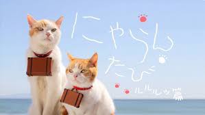 ジャランの にゃらん 猫にはまっちゃた エンタメ キヨジーの独り言