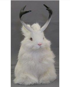 ミステリー 角がはえたうさぎ うさぎのパワーで幸福度を上げる