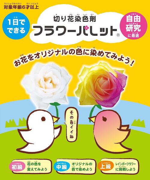 小学5年向け フラワーパレット 自由研究キットで 6年生理科の授業を先取り オリジナルカラーな切り花をお届け アートフラワーカメレオン