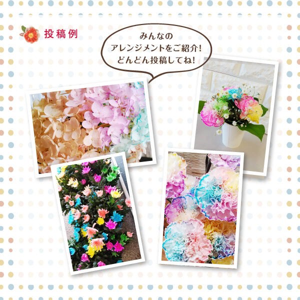 Instagramフォトコンテスト 染め花キャンペーンのお知らせ オリジナルカラーな切り花をお届け アートフラワーカメレオン