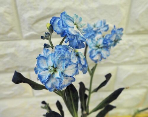 フラワーパレット でストックを染めてみました オリジナルカラーな切り花をお届け アートフラワーカメレオン