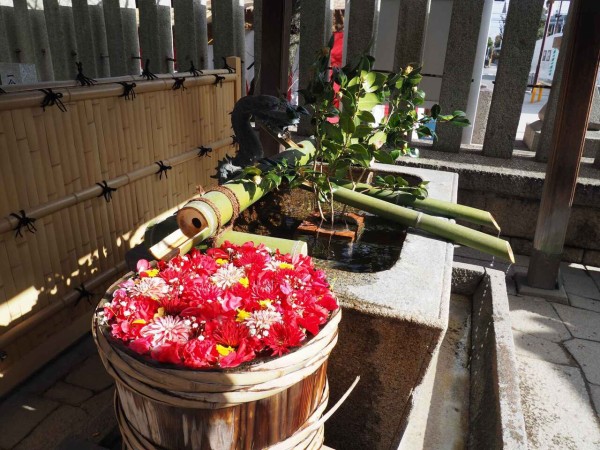 野見神社の花手水のようす 21年1月22日 高槻network新聞