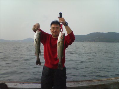 岸和田一文字でハネがこんなに釣れるとは 岸和田一文字で釣りライターも驚いたハネが爆釣する方法