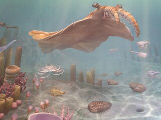ベンド生物