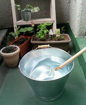 風呂の残り湯 使いきり隊 マモリビト