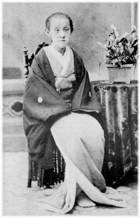 松平侯爵家 福井藩主 その1 : 直球和館