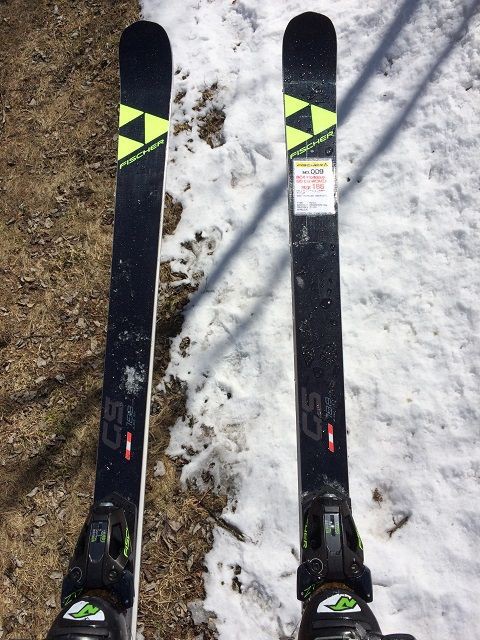 FISCHER フィッシャー GS 板 R30 188 ジャイアントスラローム 【公式通販】
