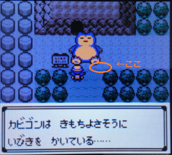 カビゴンは きもちよさそうに いびきを かいている Ebekoの日記