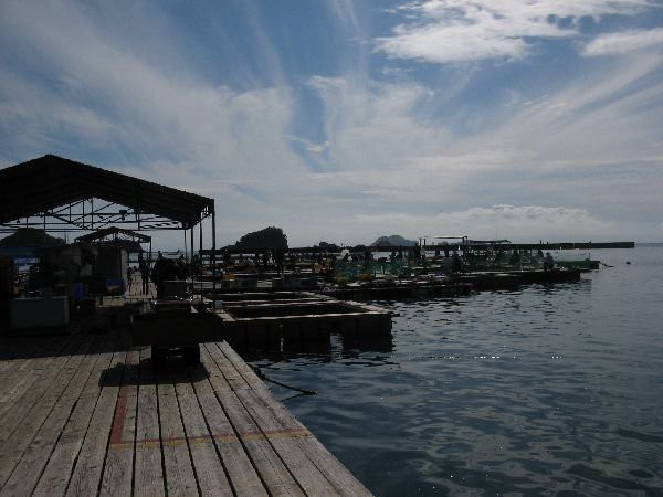 海上釣り堀 三重県で釣ったど へえすけの 日記帳