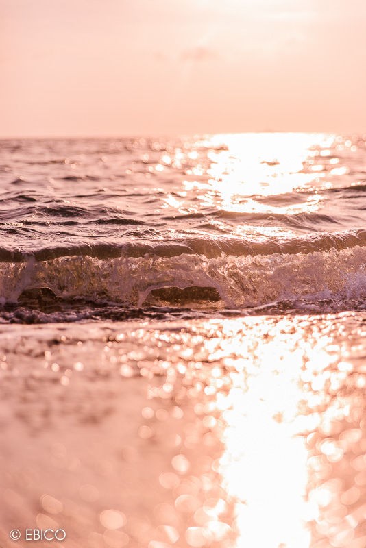 波が琥珀色に染まる瞬間 千葉県館山市 北条海岸 癒しの動画作家 えびこのブログ