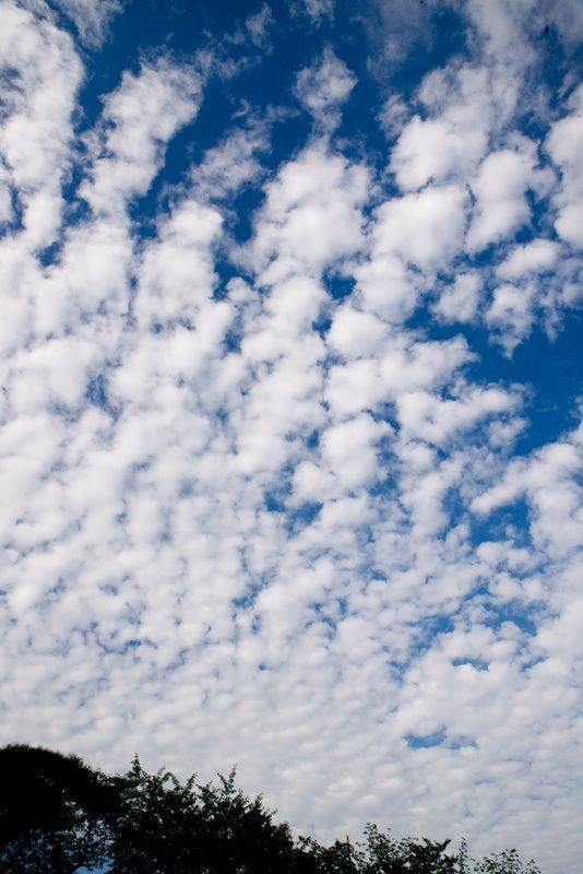 見上げれば秋の空 癒しの動画作家 えびこのブログ