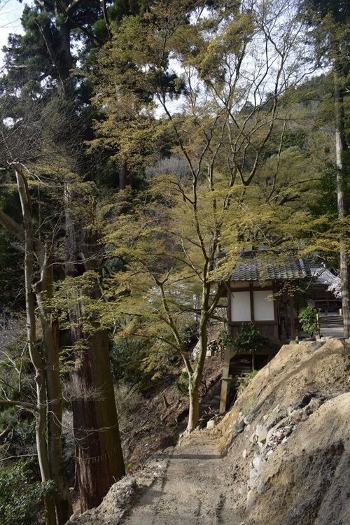 音羽の山寺 : 牛尾観音法嚴寺史／鏡山次郎 著 hyousi2.jpg