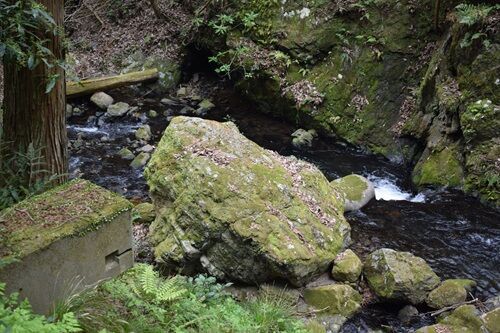 音羽の山寺 : 牛尾観音法嚴寺史／鏡山次郎 著 音羽の山寺 : 牛尾観音法嚴寺史／鏡山次郎 著 音羽の山寺 / 鏡山