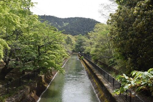 正嫡付法〔中巻〕本圀寺史料 正嫡付法〔中巻〕本圀寺史料-新年の贈り物