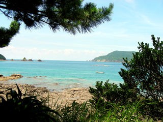 坊津の海 薩摩半島自然学校