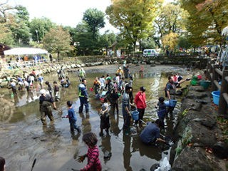 かいぼりしました 鍋島松濤公園 今日の工房