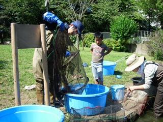 練馬区春の風公園 水生生物の調査 今日の工房