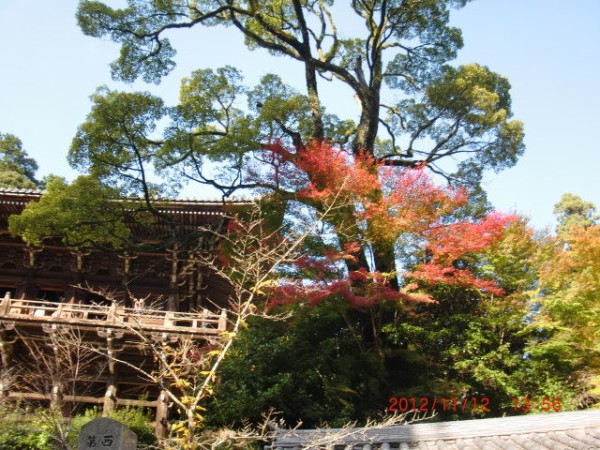 書写山 紅葉まつり12年 仕事の前に一登り