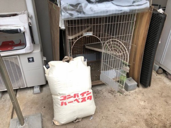 鶏小屋に敷く籾殻 : 【道】 義生と南生、時々愛さん（よしおとなお、ときどきあいさん）