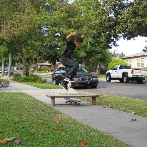 住宅街に広がるきれいな芝生 水撒きに刈り取り管理も楽じゃない Demaru通り