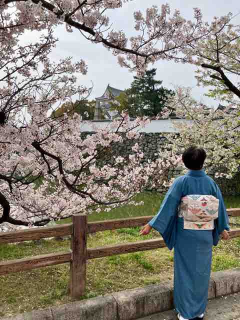唐織の袋帯、気に入りました! : 還暦着物好き日記 唐織の袋帯、気に入りました! : 還暦着物好き日記
