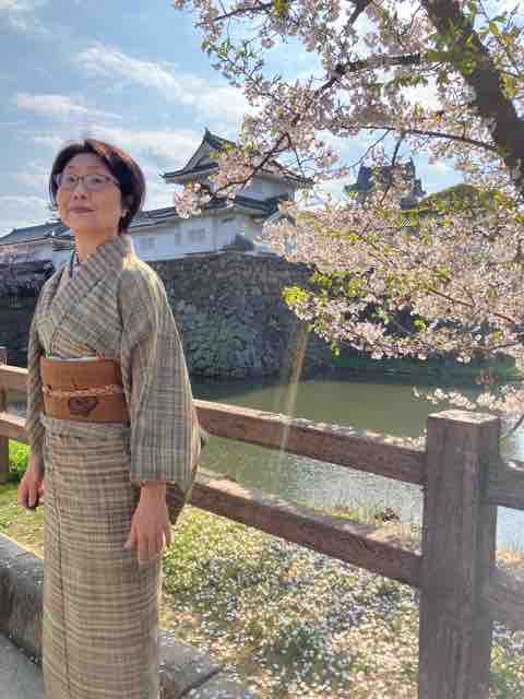 悩ましい科布の九寸名古屋帯 : 還暦着物好き日記 悩ましい科布の九寸名古屋帯 : 還暦着物好き日記