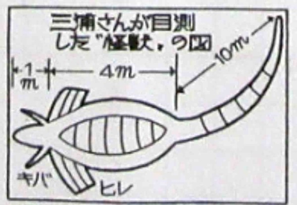 気仙沼に有牙死骸−三陸ネッシー : 未知の世界から