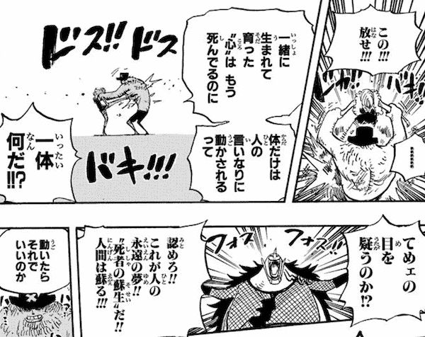 第２９回 ２人の意志を継ぐ者 ワンピースの世界史