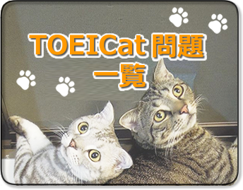 Elementary ２ 古澤が Toeicと洋書と ときどき猫 を語ります