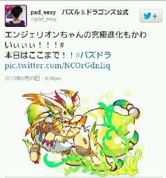 パズドラ 究極進化 ドラウンジョーカー エンジェリオン フレアドラール パズドラの記録 中級者 課金少々 仮