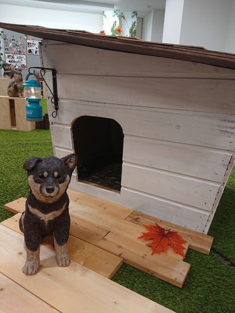 ｄｉｙ 犬は居ないが犬小屋を作る サブカル ダディ ガッテム日記